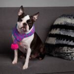 Αργαλειός Loop de loom Kit  Ann Williams - Image 11