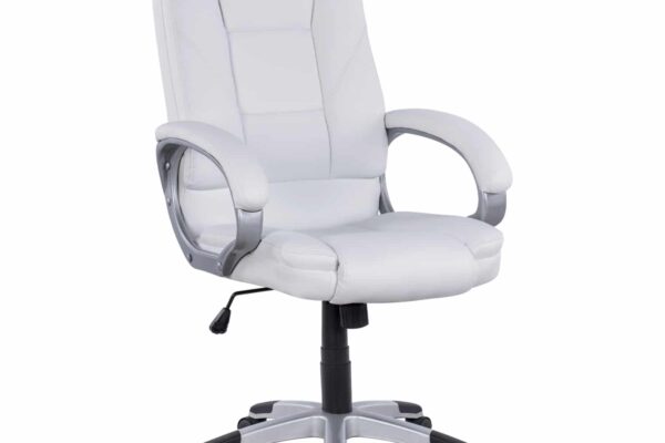 Καρέκλα Γραφείου Jaya