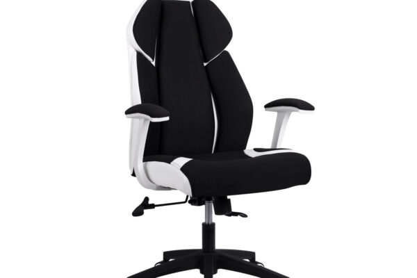 Καρέκλα Γραφείου Salena Black